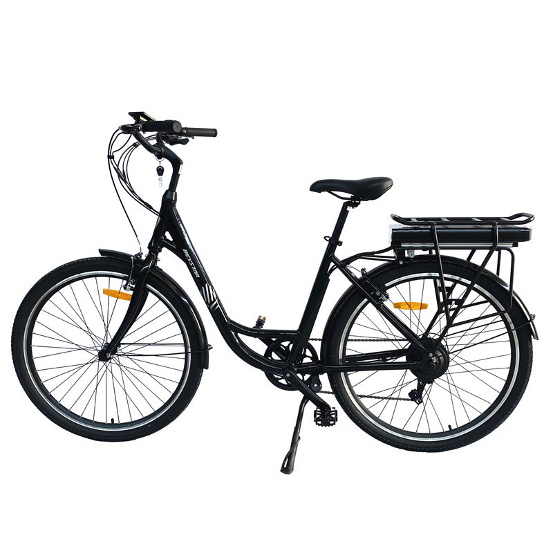 energy saving electric bike/eletric bike with lithium battery electric bike /exercise electric bike