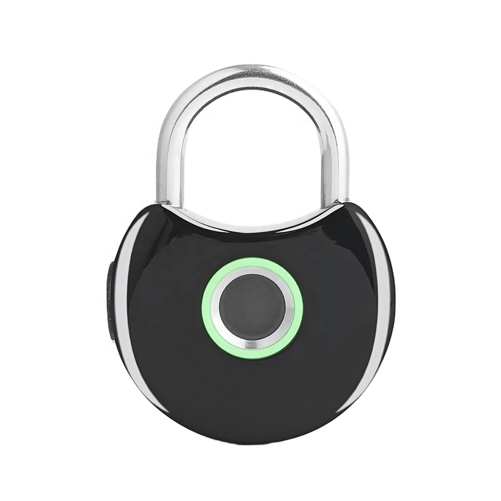 Finger Thumb Print Electronic USB charge Keyless Security Touch Pad Luggage Cabinet Fingerptint Smart Padlock Locks