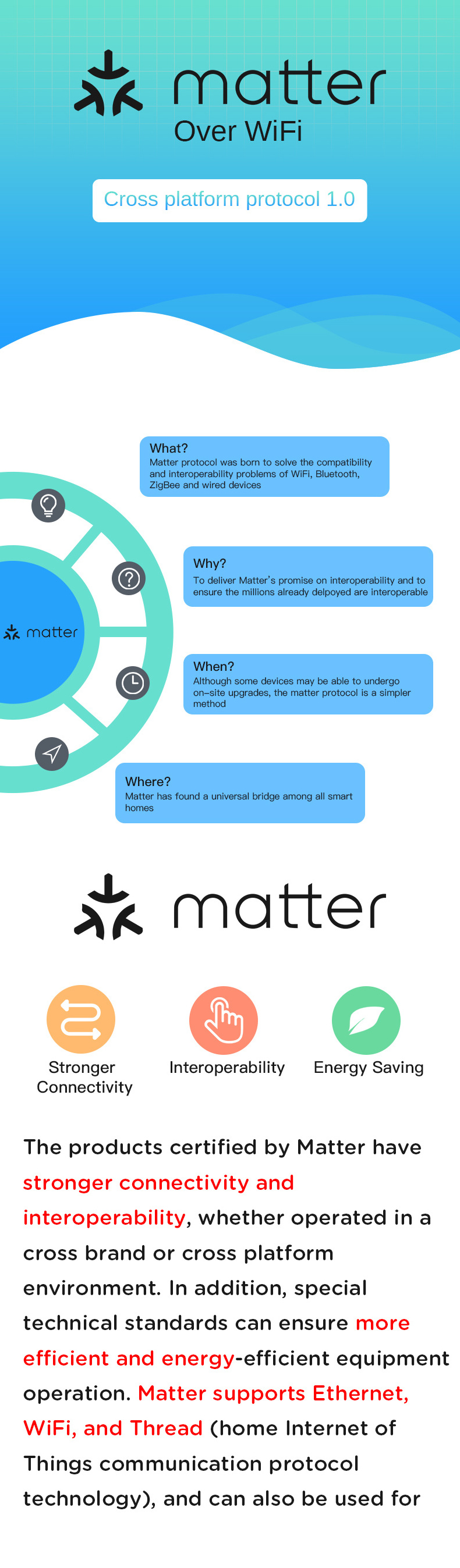 RSH Matter Smart Home EU Standard Alexa Google Homekit WiFi Outlet Smart Socket Matter Plug with Energy Monitoring Timer