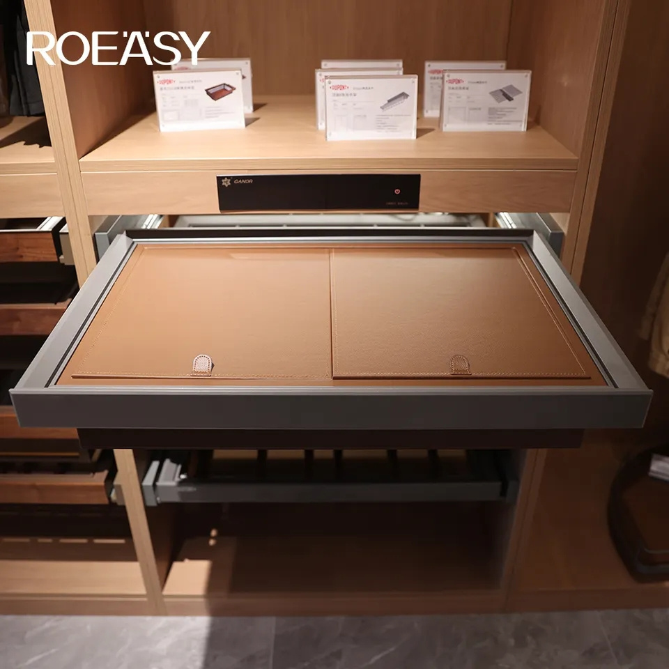 Roeasy Wardrobe Accessories Slide Out Clothes Underwear Storage Drawer Basket with Dust Cover