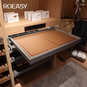 Roeasy Wardrobe Accessories Slide Out Clothes Underwear Storage Drawer Basket with Dust Cover