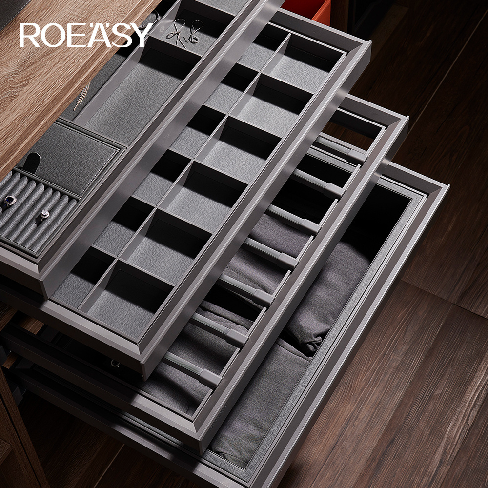 ROEASY Modern Wardrobe Clothes Organizer Pants Rack Pull Out Trouser Rack for Bedroom Closet Hardware