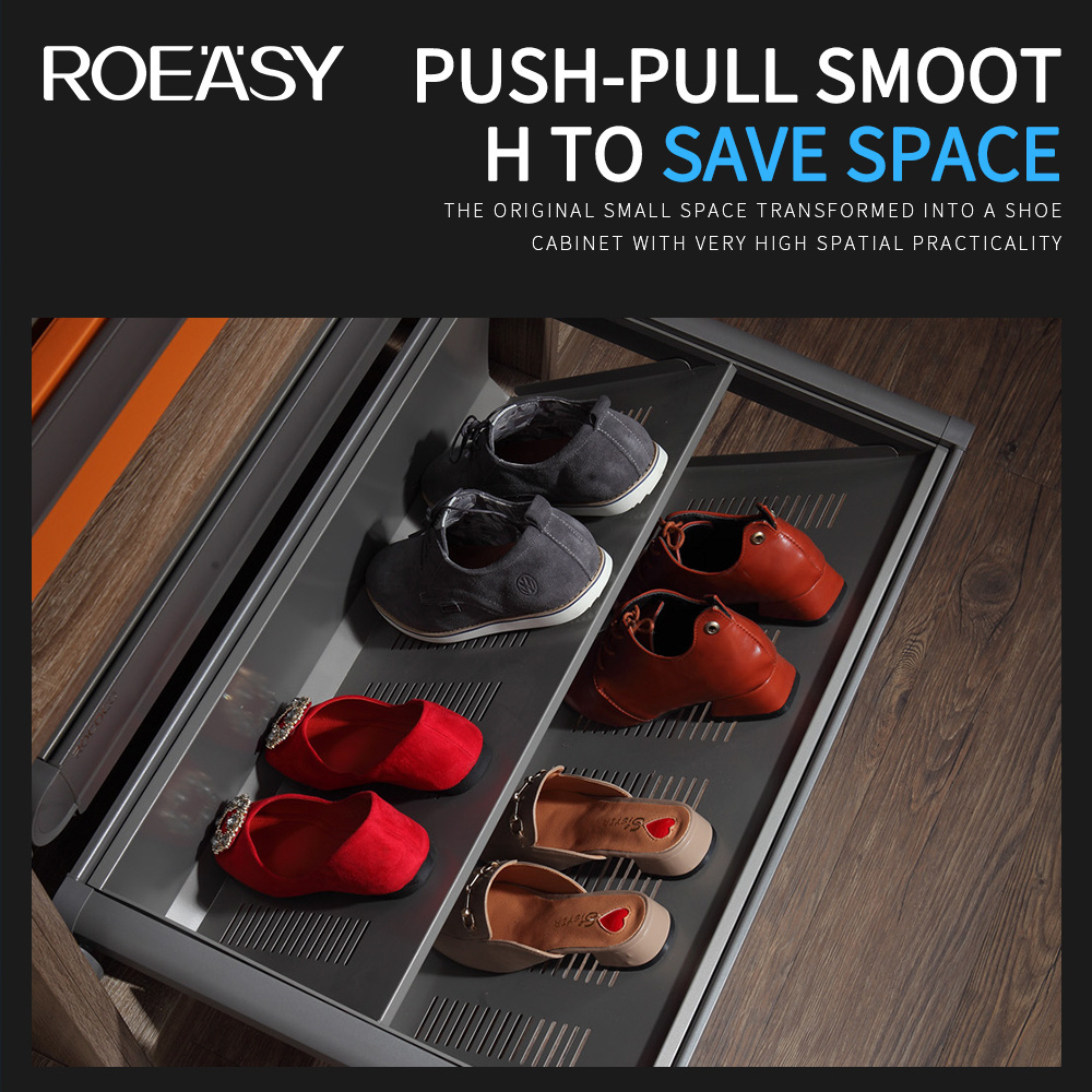 ROEASY Modern Design 2 Tier Pull Out Sliding Wardrobe Accessories Shoe Rack For Closet