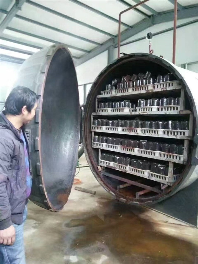 Commercial Double Doors Horizontal Mushroom Autoclave