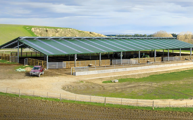 Steel Structure Cow Shed Low Cost Cow Farm Building for  Cow and Cattle