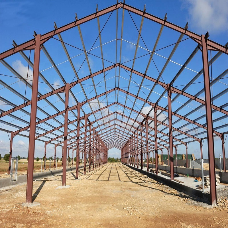 Prefabricated Aircraft Hangar Construction Modern Prefab Steel Structure Building Prefabricated Warehouse Workshop Aircraft Hang