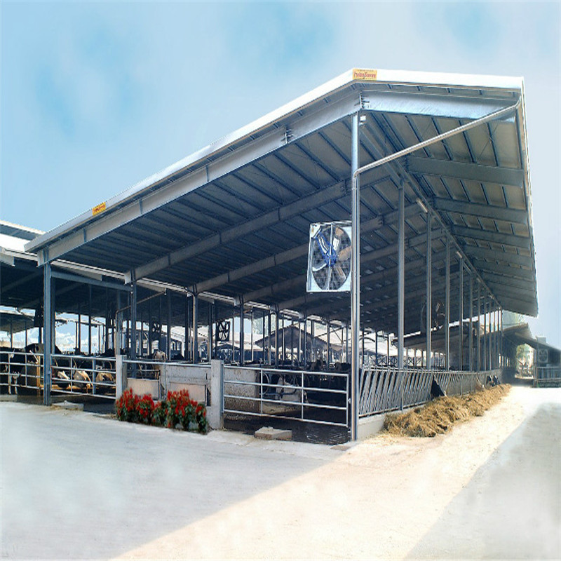 Low Cost Steel structure Cow Farm Dairy House Barn