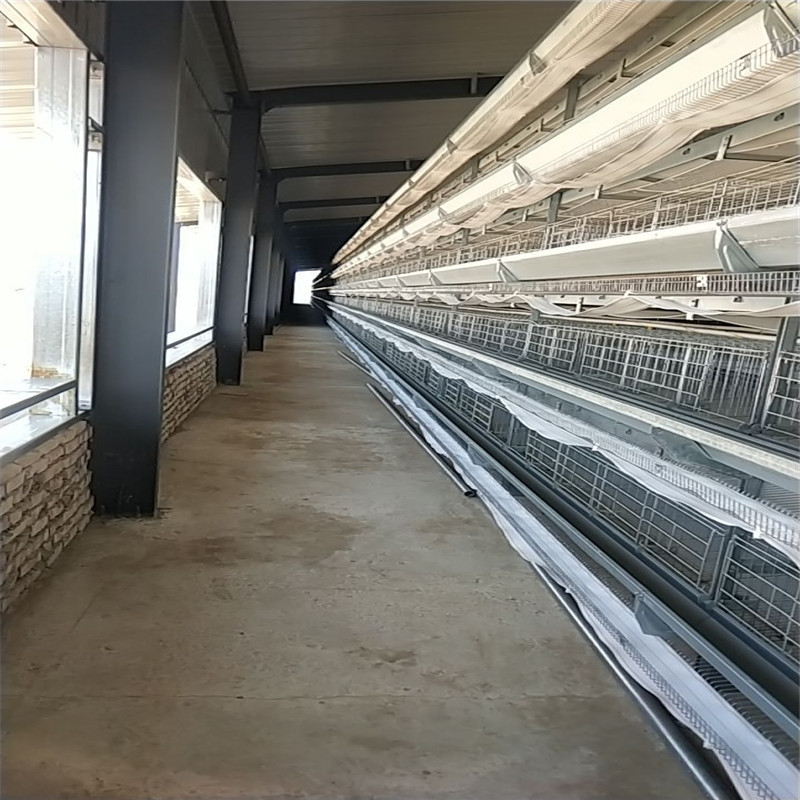 Prefab Chicken Farm Building With Automatic Chicken Equipment