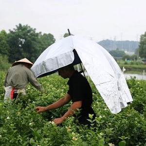 Hook Fish Light Head Hat Outdoor Sunscreen Creativity Sunny Rain Outdoor Tea Picking Fishing Tea Picking Sunshade Umbrella