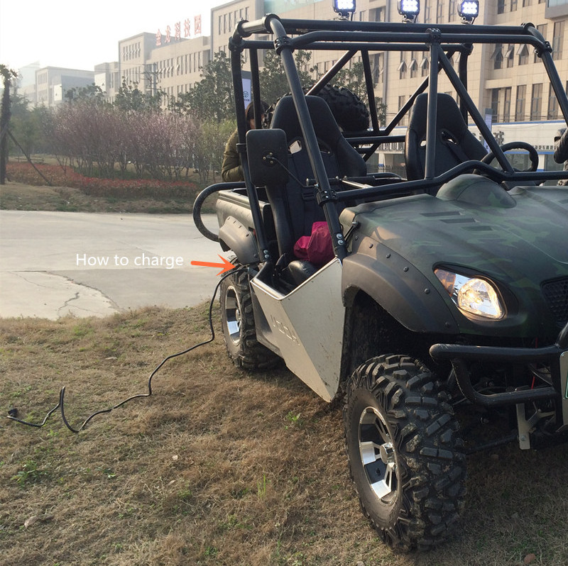 Adult dune buggies