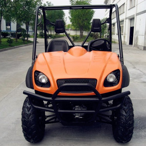 Electric utv car/electric buggy with 5kw motor