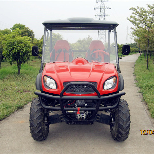 Electric utv car/electric buggy with 5kw motor