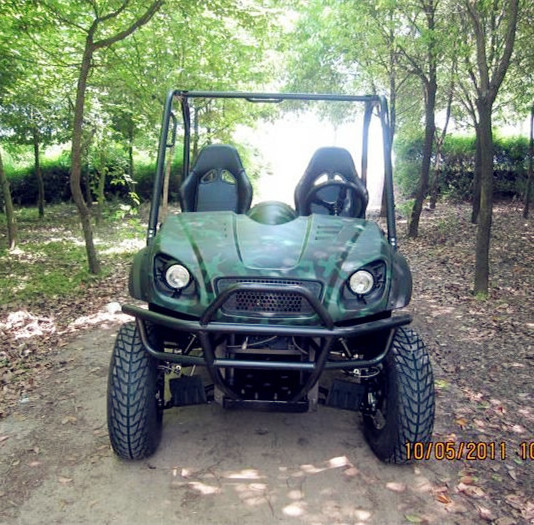 Electric utv car/electric buggy with 5kw motor