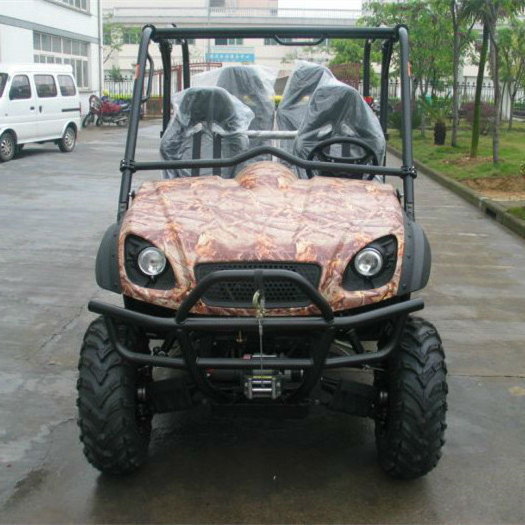 Electric utv car/electric buggy with 5kw motor