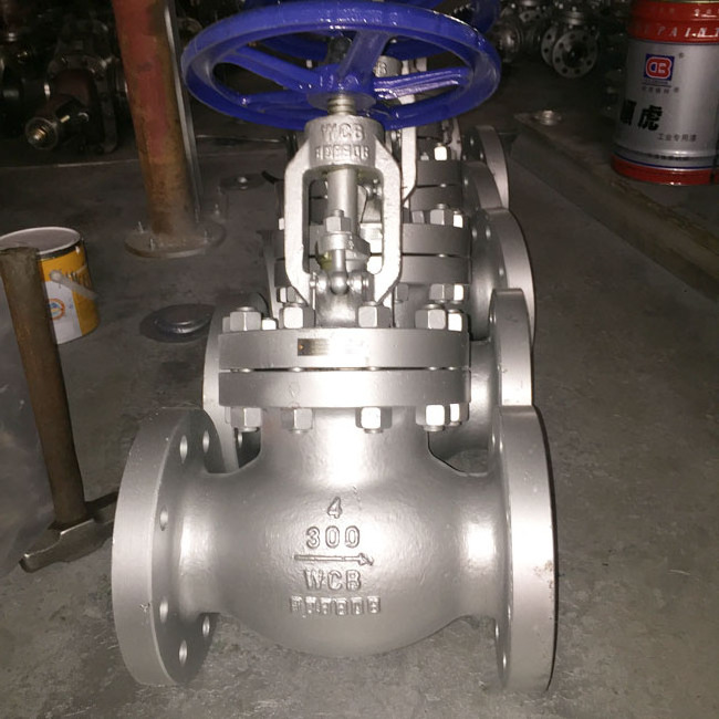 A216 WCB SS Trim Cryogenic Flange Globe Valve 300LB