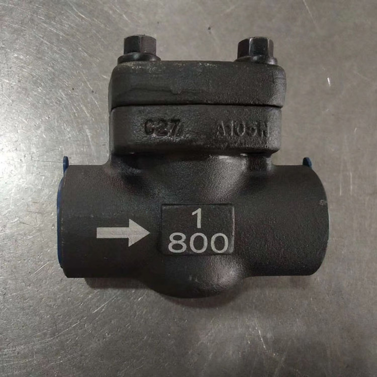 Forged Steel A105 F304 F316 Lift Check Valve 800LB