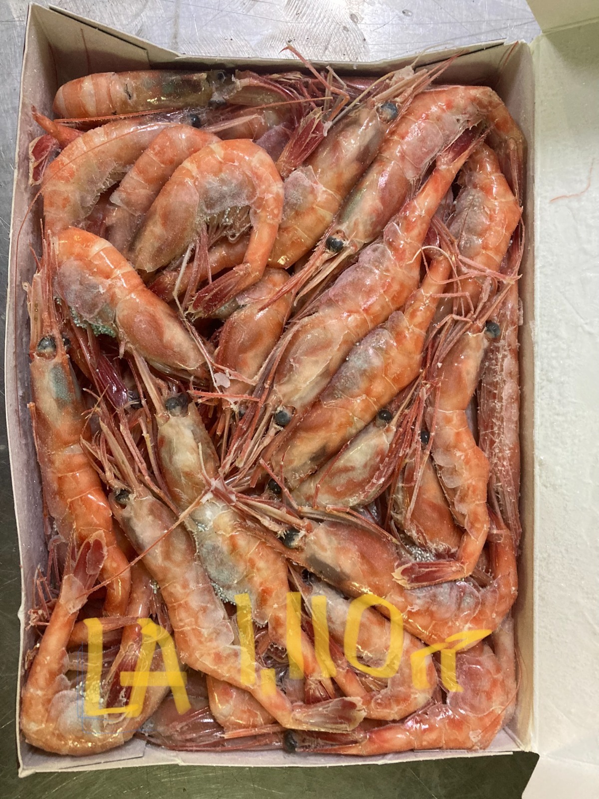 Frozen northern shrimp fresh frozen whole shrimp best quality 100% natural seafood with competitive price