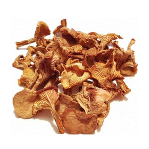 Dried chanterelles mushrooms 500 g high quality healthy natural organic dried mushroom without additives