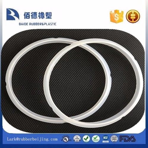 Autoclave Door Gasket Seal