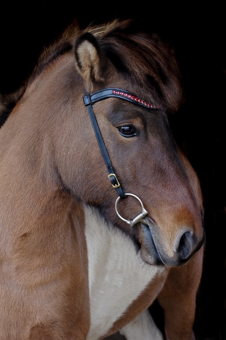 English Horse Racing Products From India Iceland Harness Bridle Flexible Leather headband and noseband