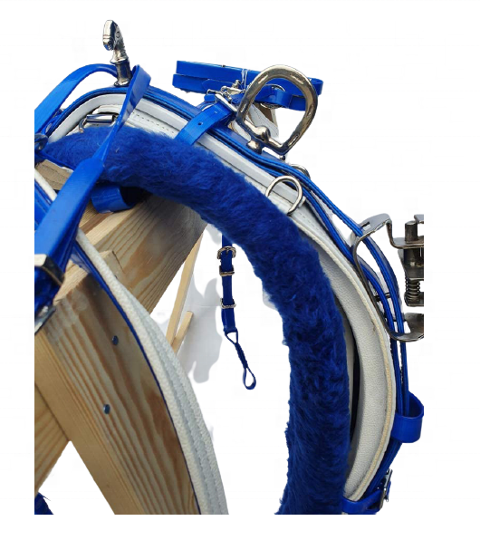 Blue and White Smartly Quick Hitch Horse Harness with Stainless Steel Fitting and Fully interchangeable hook