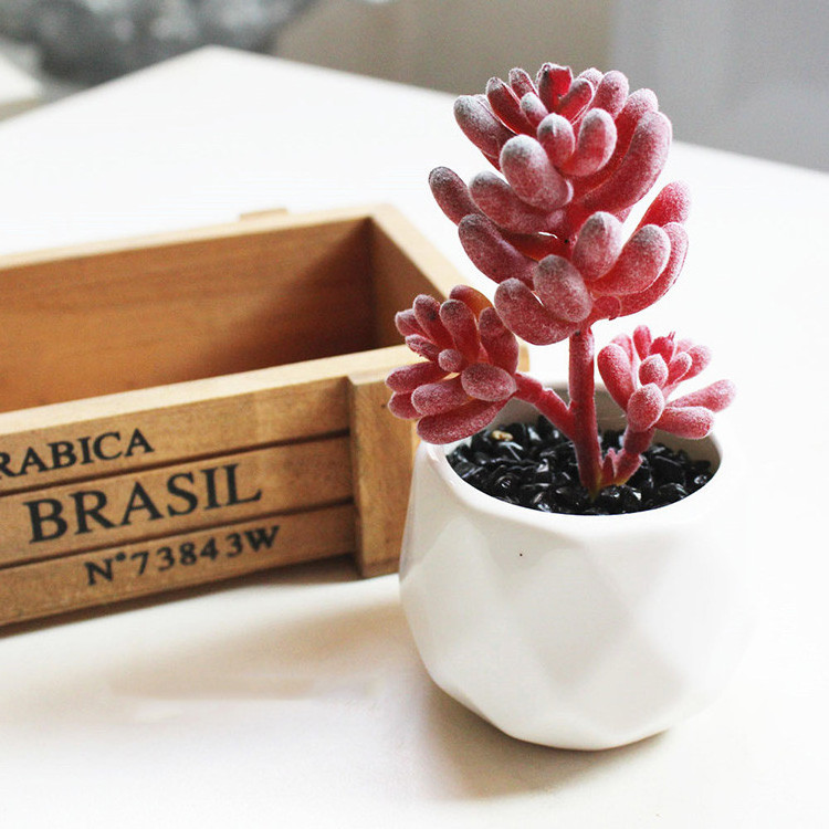 Wholesale New Design Mini Succulent with Ceramic Pot Artificial Succulent Plants