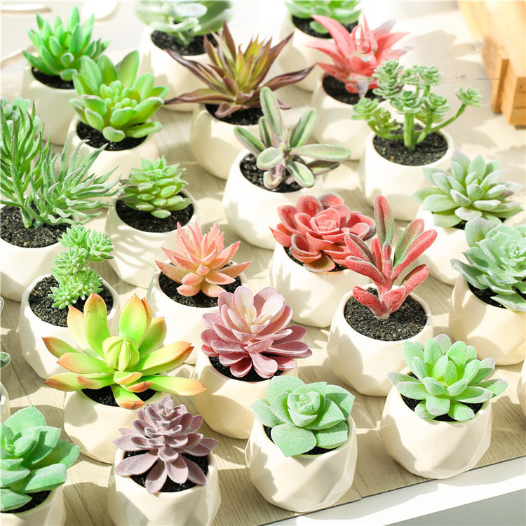 Wholesale New Design Mini Succulent with Ceramic Pot Artificial Succulent Plants