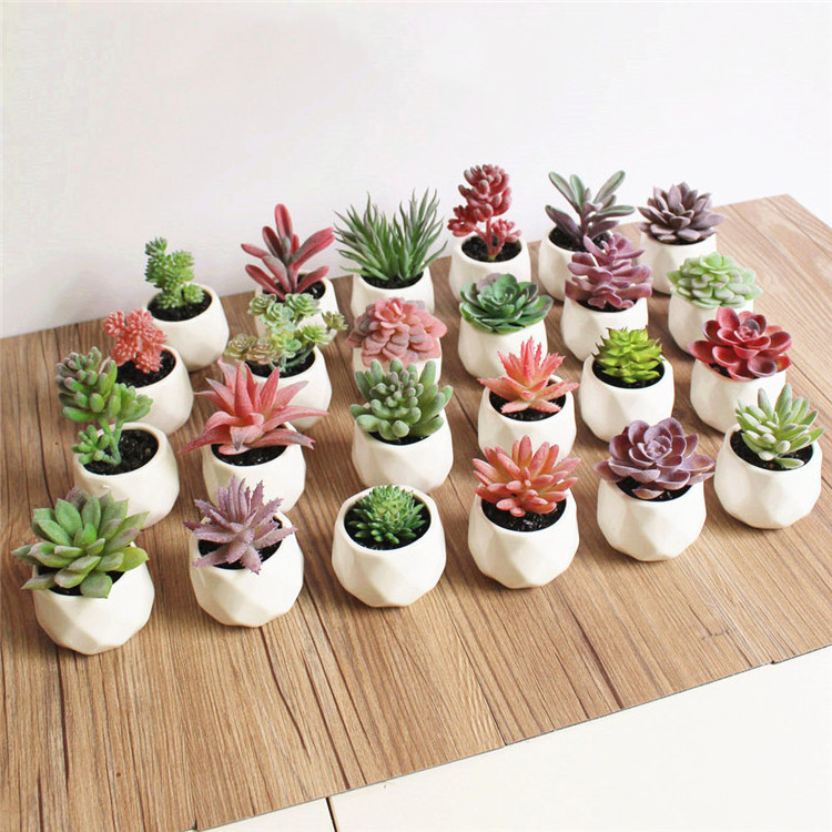 Wholesale New Design Mini Succulent with Ceramic Pot Artificial Succulent Plants