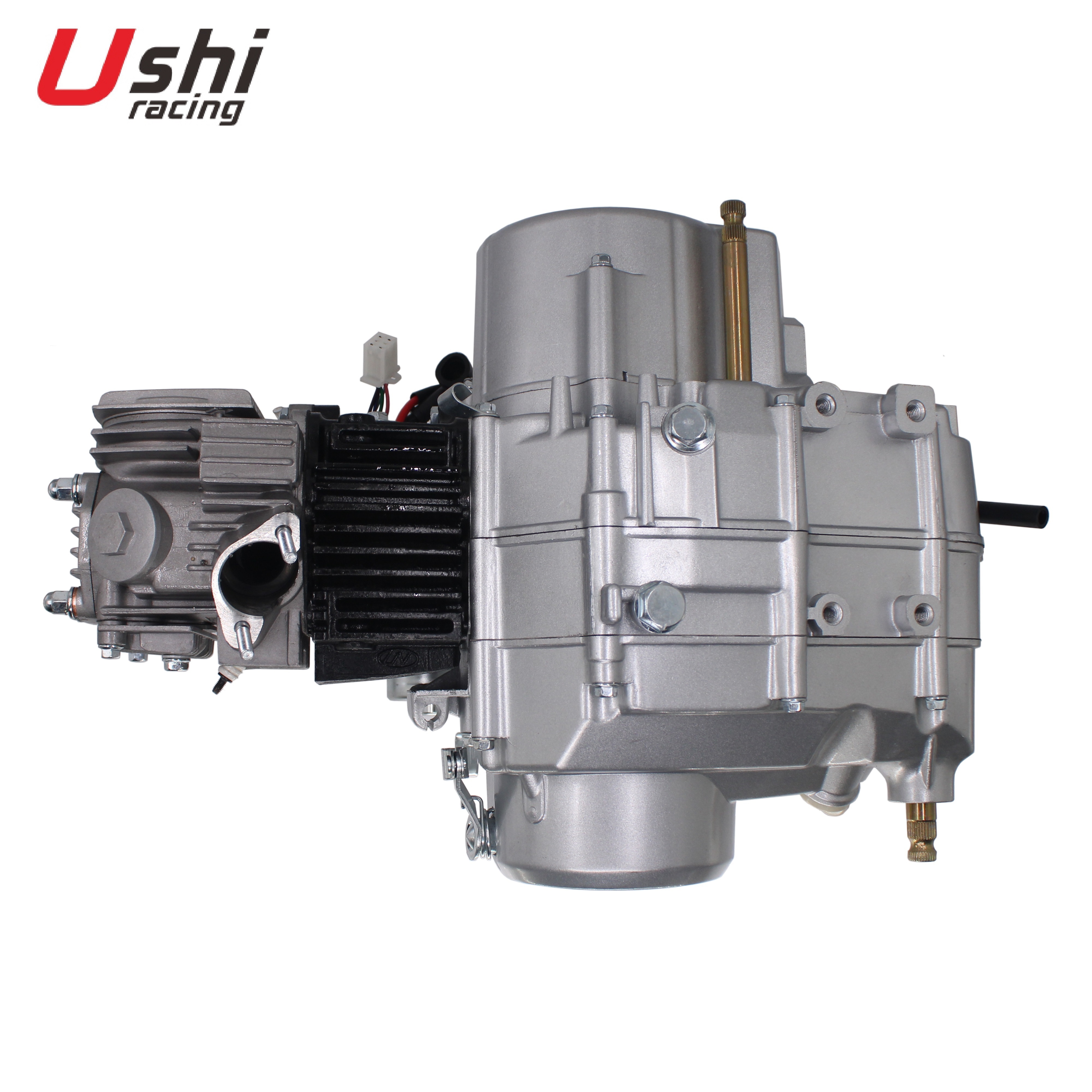 USHI Racing High Quality Air Cooled 100cc Motorcycle Engine Assembly