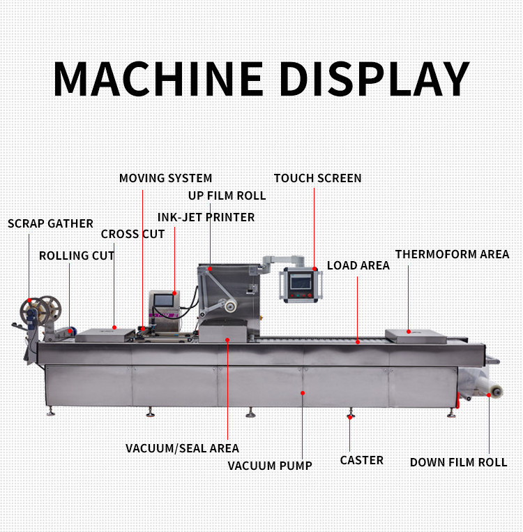 500g 1kg meat bacon vacuum thermoforming packaging machine full automatic vacuum form modified atmosphere packing machine