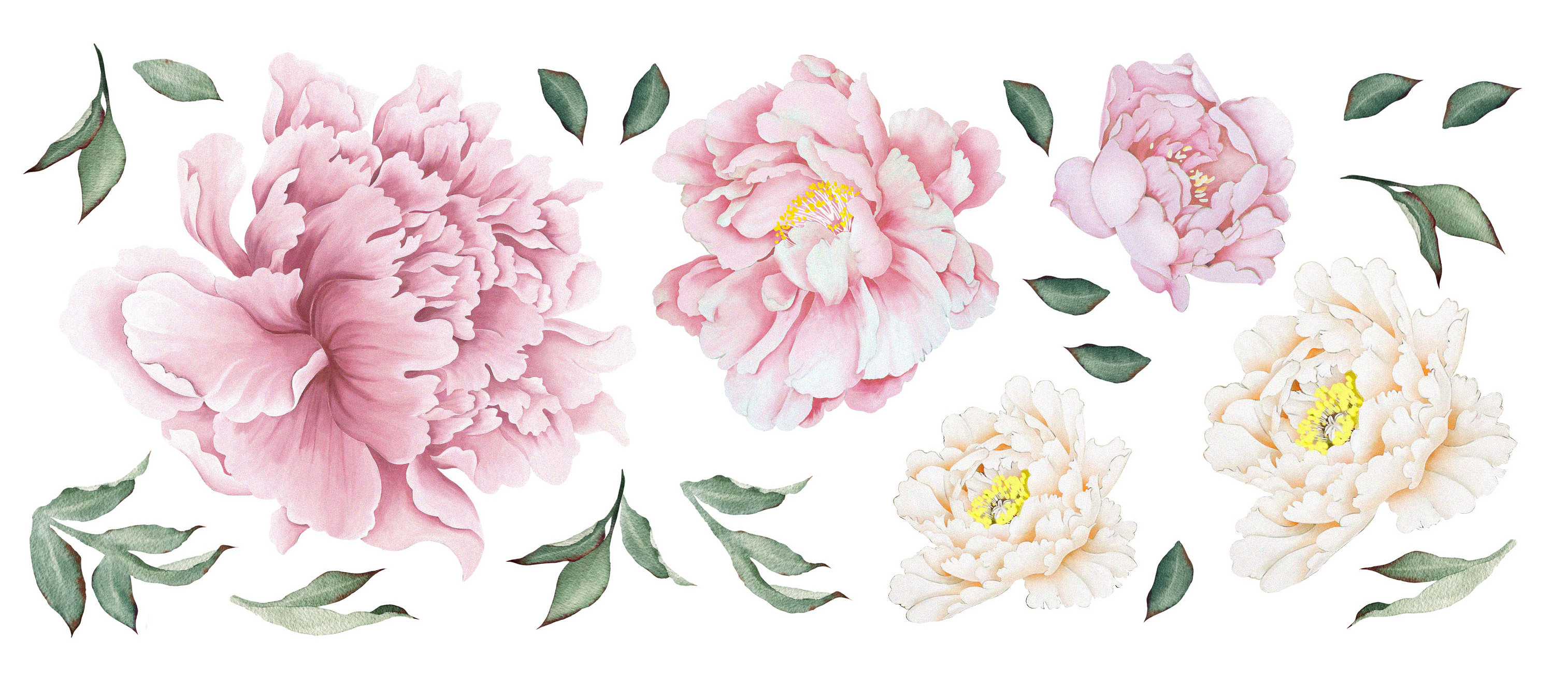 Peony Flowers Wall Decals Garden Flowers Peel and Stick Removable Stickers