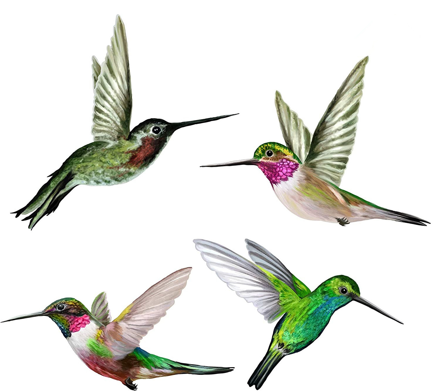 Anti-Collision Window Clings Decals to Prevent Bird Strikes on Window Glass Set of 4 Hummingbird Window Clings