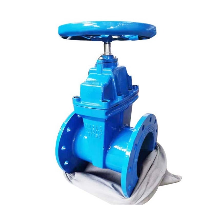 Cast Iron Resilient Seat Gate Valve Non Rising Stem Flanged Soft Seal Gate Valve