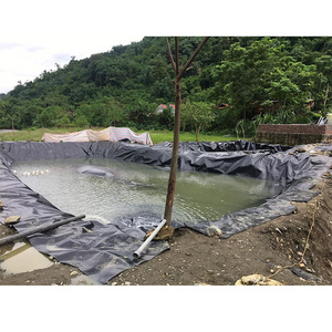 2mm Fish Farming Hdpe Geomembrane Waterproof Tarpaulin Liners Pond For Biofloc