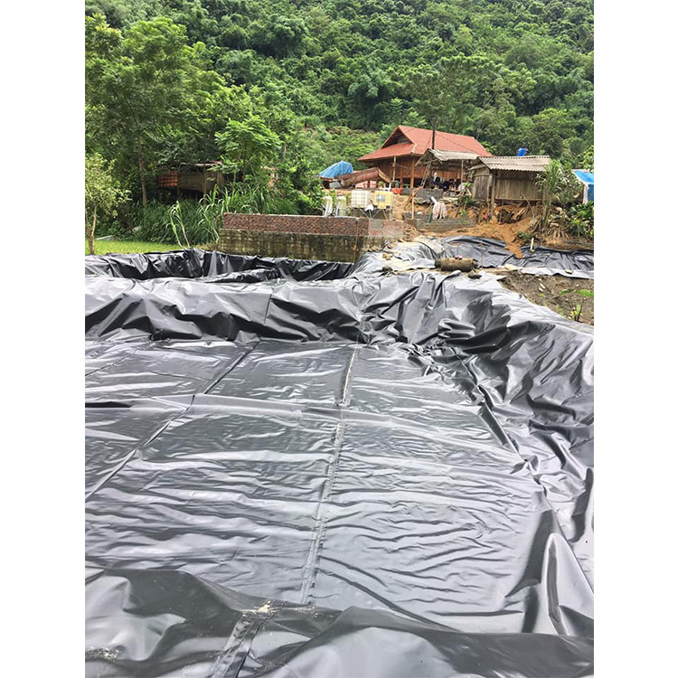 2mm Fish Farming Hdpe Geomembrane Waterproof Tarpaulin Liners Pond For Biofloc