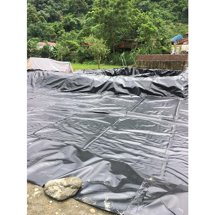 2mm Fish Farming Hdpe Geomembrane Waterproof Tarpaulin Liners Pond For Biofloc