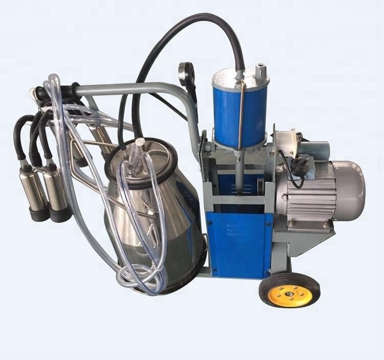 male milking machine for dairy cow