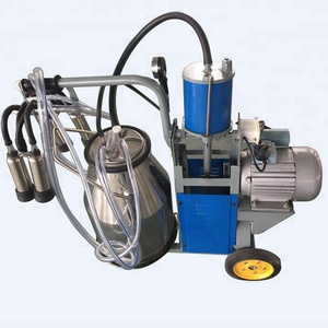 male milking machine for dairy cow