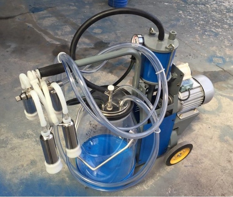 male milking machine for dairy cow