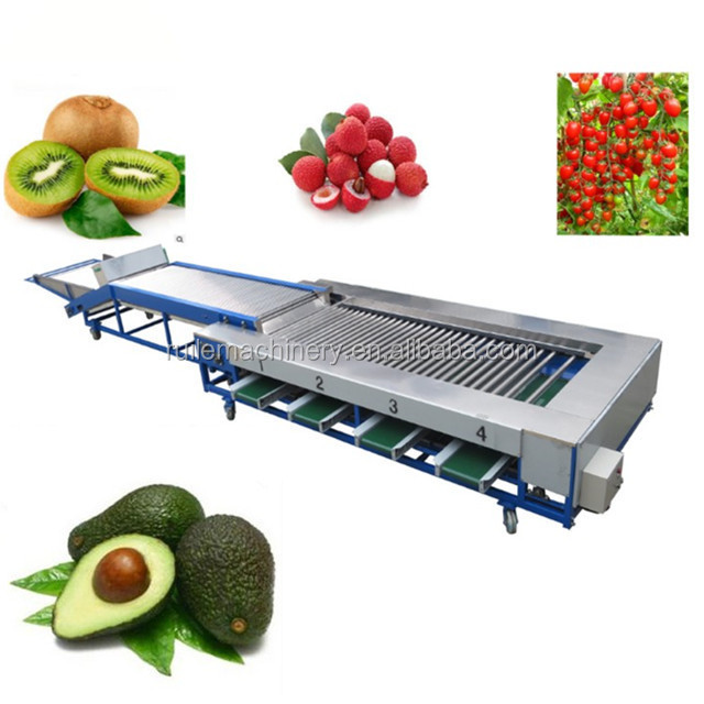 Fruit Vegetable Processing Machines Apple Washing Drying Waxing Sorting Machine