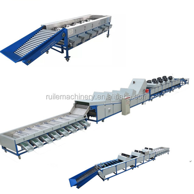 Fruit Vegetable Processing Machines Apple Washing Drying Waxing Sorting Machine