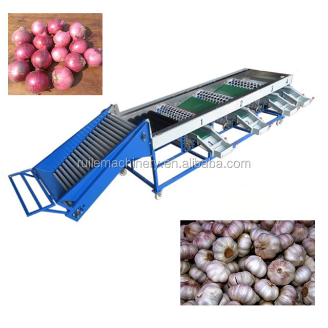 Fruit Vegetable Processing Machines Apple Washing Drying Waxing Sorting Machine