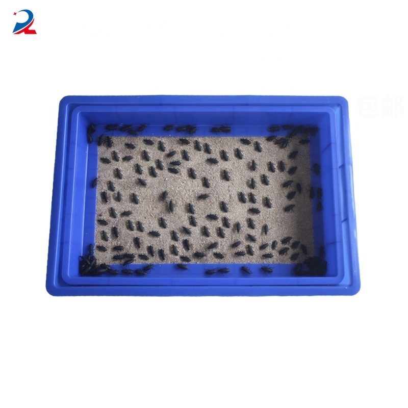 Factory Price Farm Daily Turnover Plastic Blue Color Meaworm Breeding Tray Rack Insect Trays