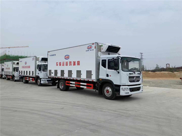 Dongfeng 15 Ton one day baby chicken Transport Truck