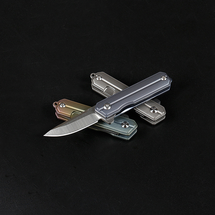 D2 steel drop point blade small dive folding pocket knife key chain knife with titanium handle