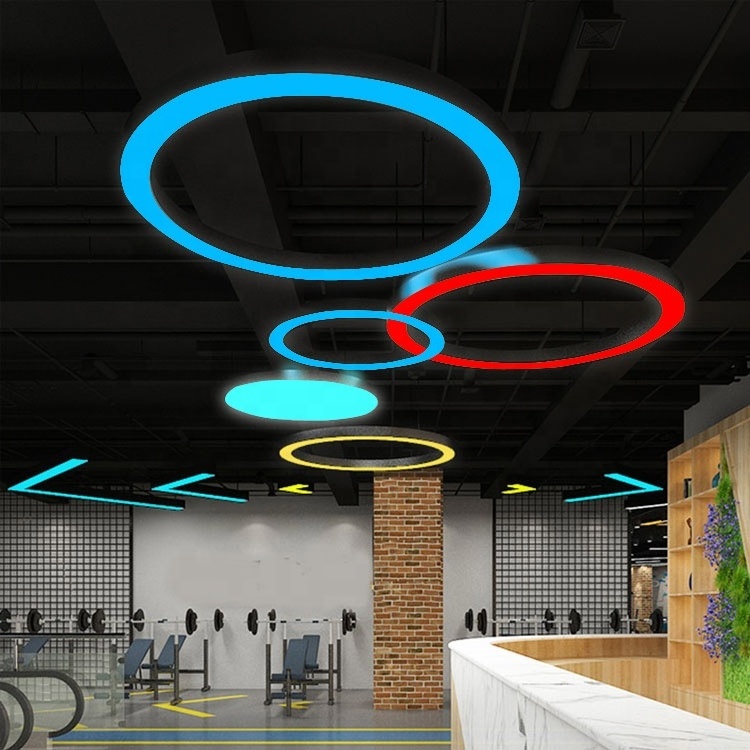 Rgb 60mm LED round hanging lamp ceiling 0-10v Dimming suspended decorative circular ring pendant light