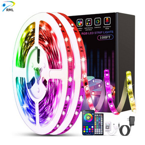 12V Decoration Led SMD 5050 RGB Flexible Waterproof Led Strip Lights/Led Light Strip/Smart Strip Light