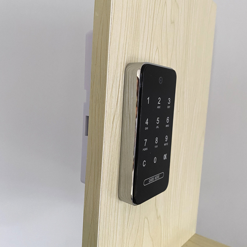 Factory Outlet Digital Rfid Locker Lock electronic lock cabinet lock support public and private mode