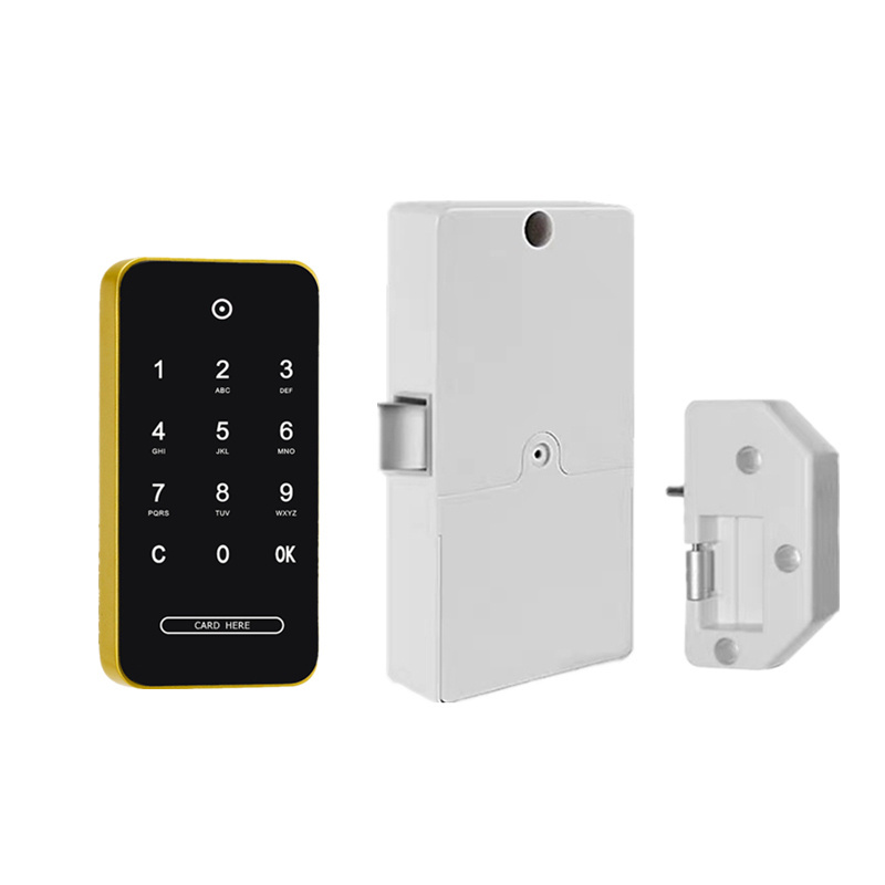 Factory Outlet Digital Rfid Locker Lock electronic lock cabinet lock support public and private mode