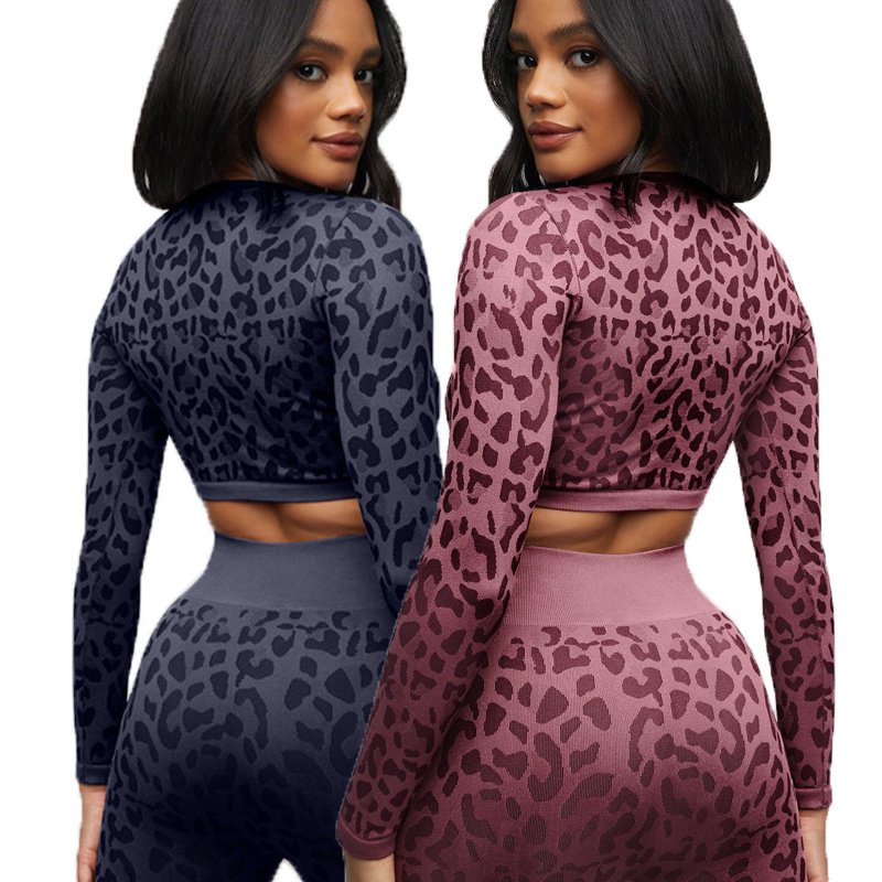 New Leopard Fitness Yoga Wear Workout Sets Long Sleeve Crop Top Leggings 2 Piece Tracksuits For Women